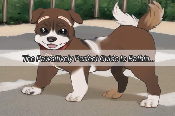 The Pawsitively Perfect Guide to Bathing Your Furry Friend